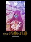 ogoEAT̃TlC